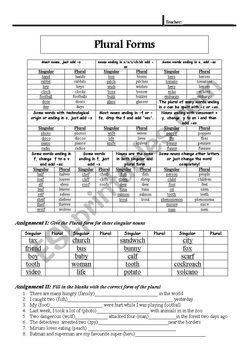Plural Forms  worksheet