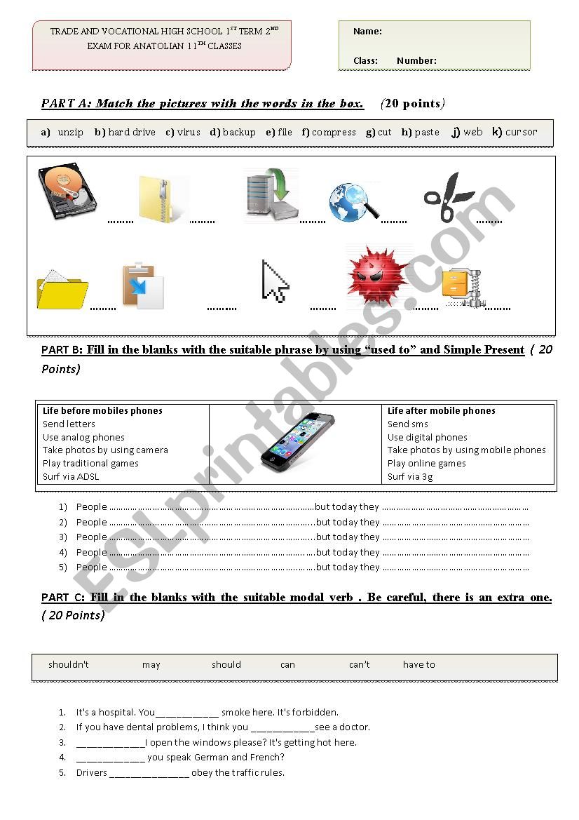 examination worksheet