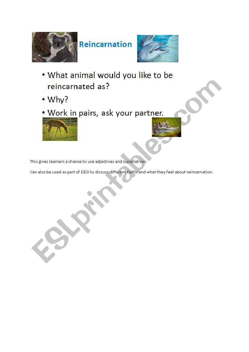 Reincarnation worksheet