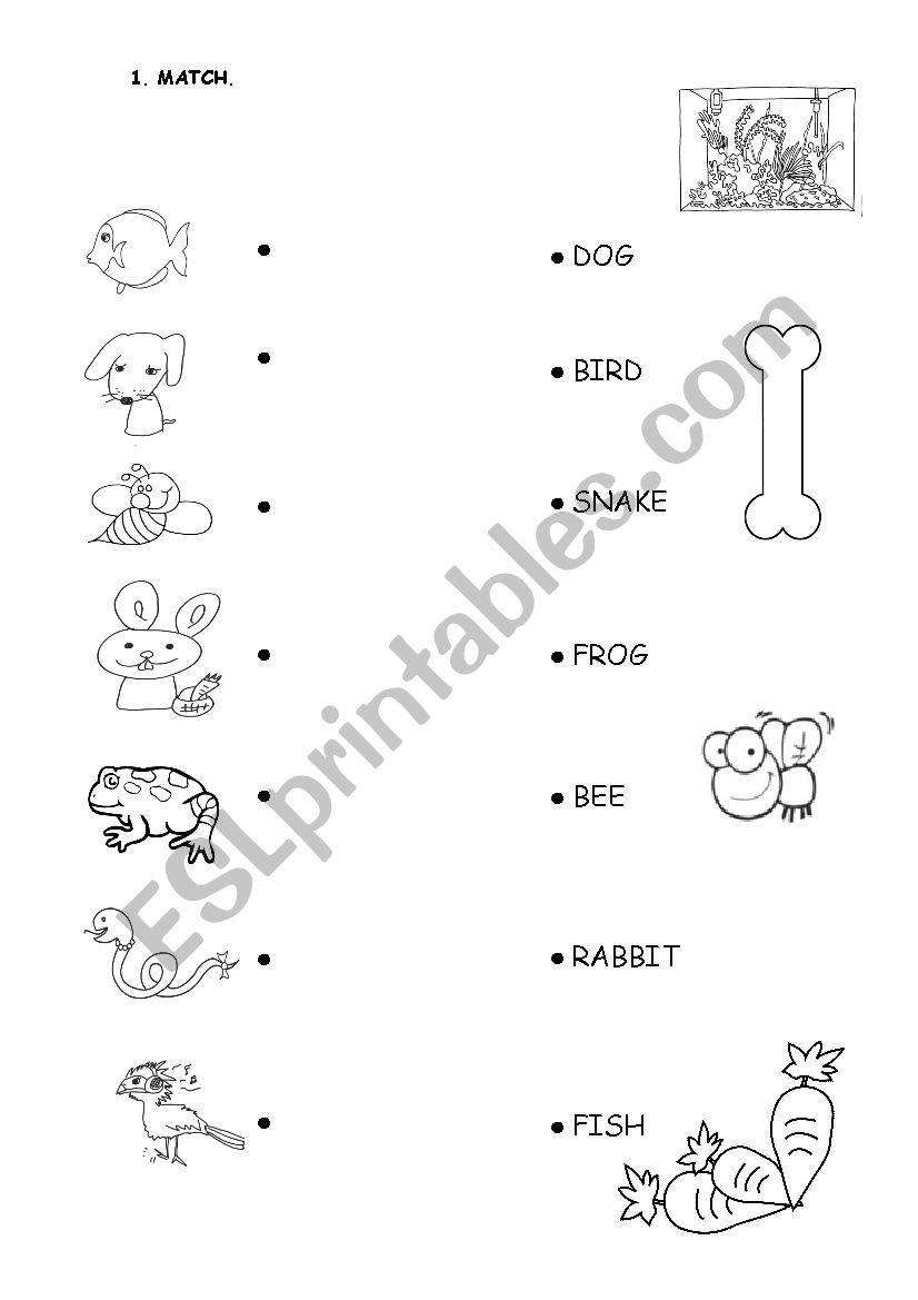 Animals - matching exercise worksheet