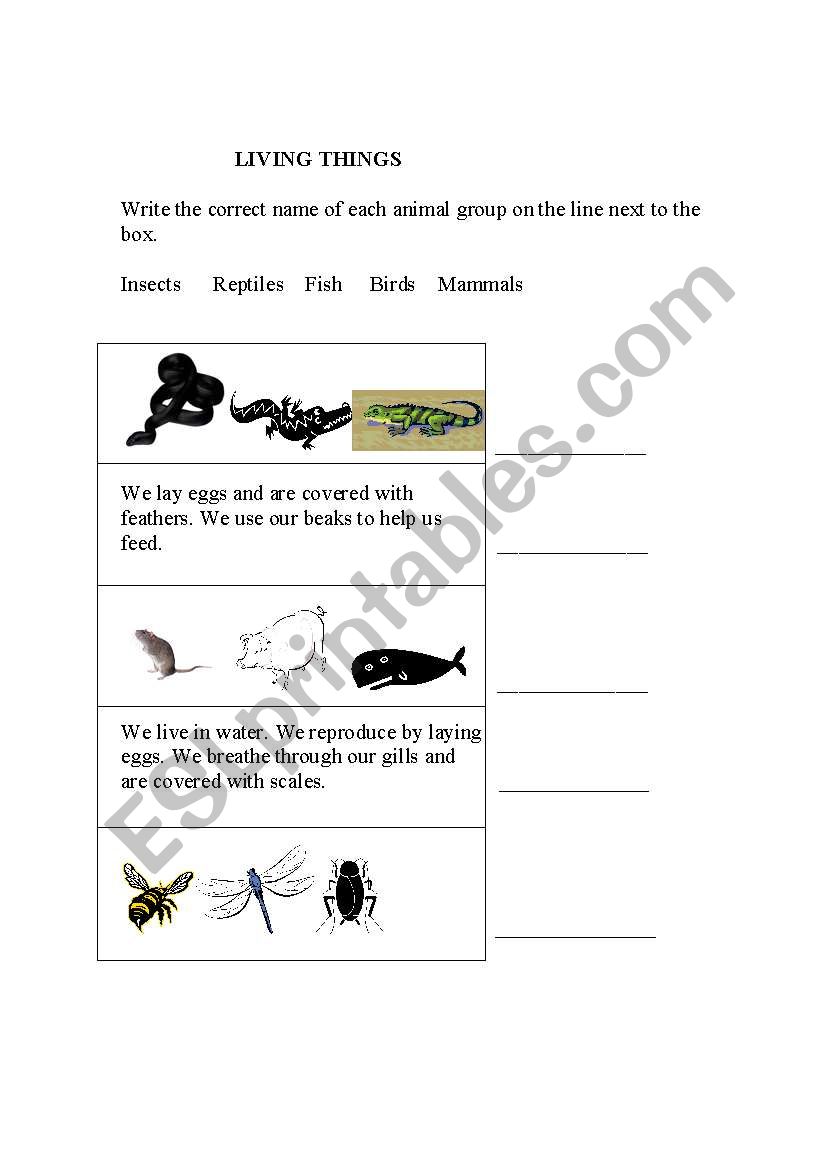 LIVING THINGS worksheet