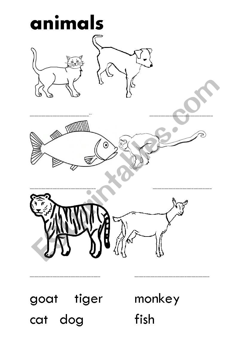 Easy animal workshet worksheet