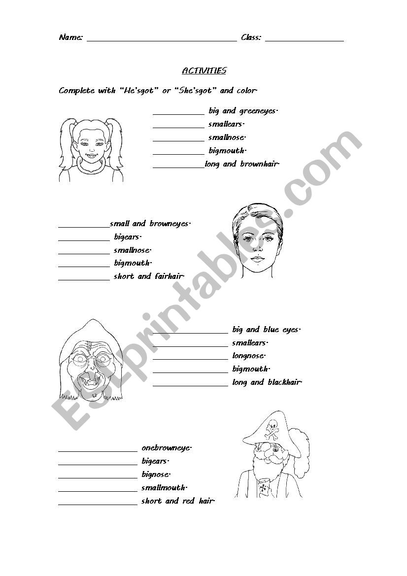 HAS GOT ACTIVITY worksheet