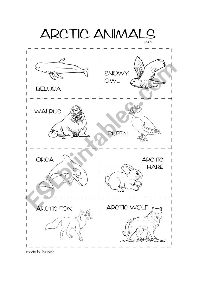 Arctic animals 1/2 - ESL worksheet by blunek