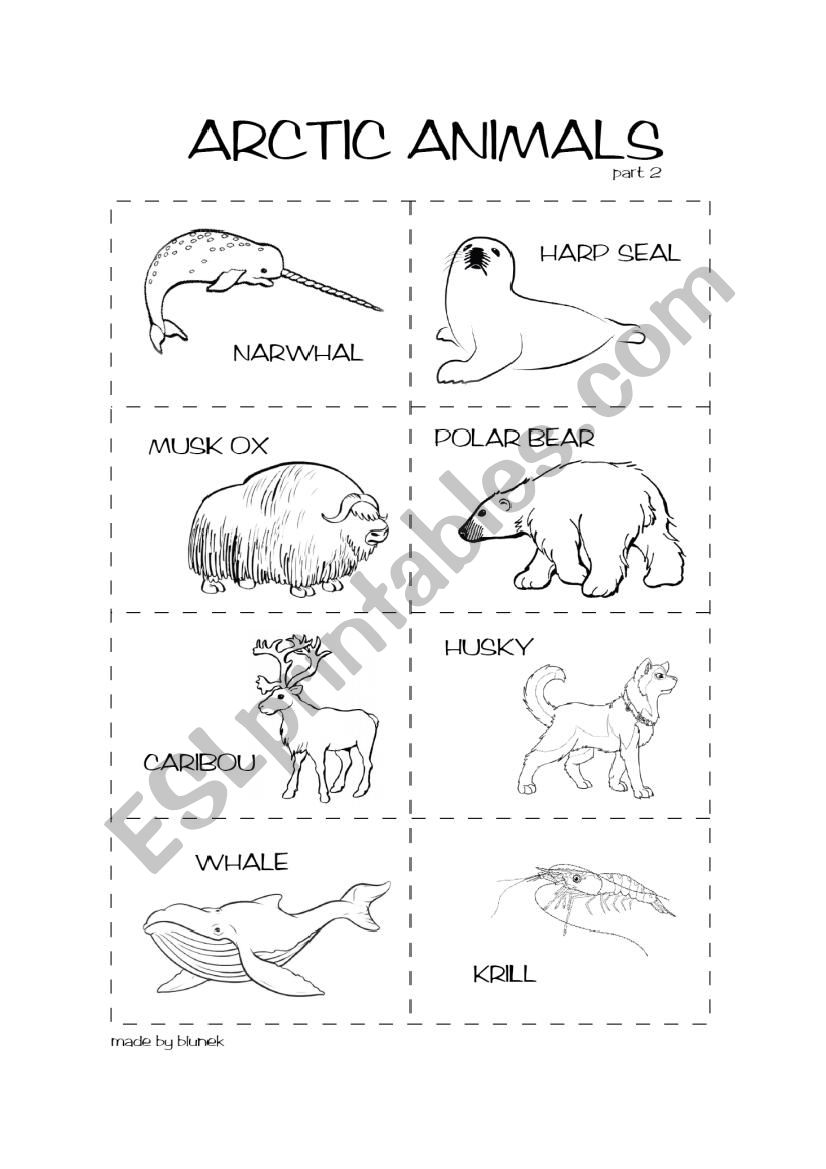 Arctic animals 2/2 worksheet