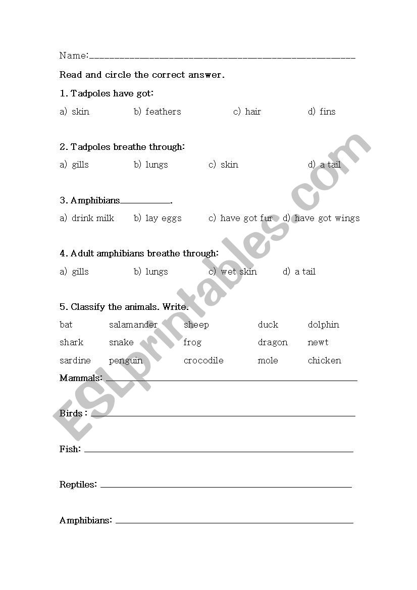 Amphibians - vertebrates test worksheet