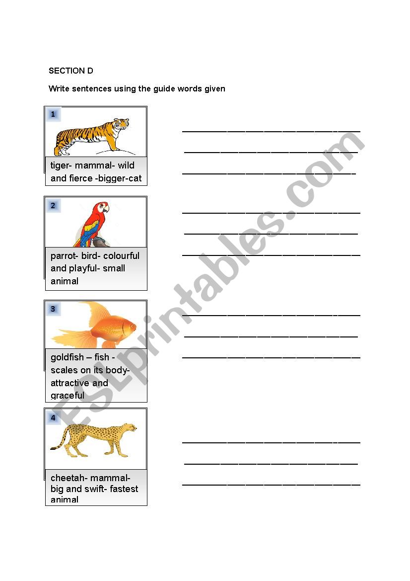 Animals worksheet