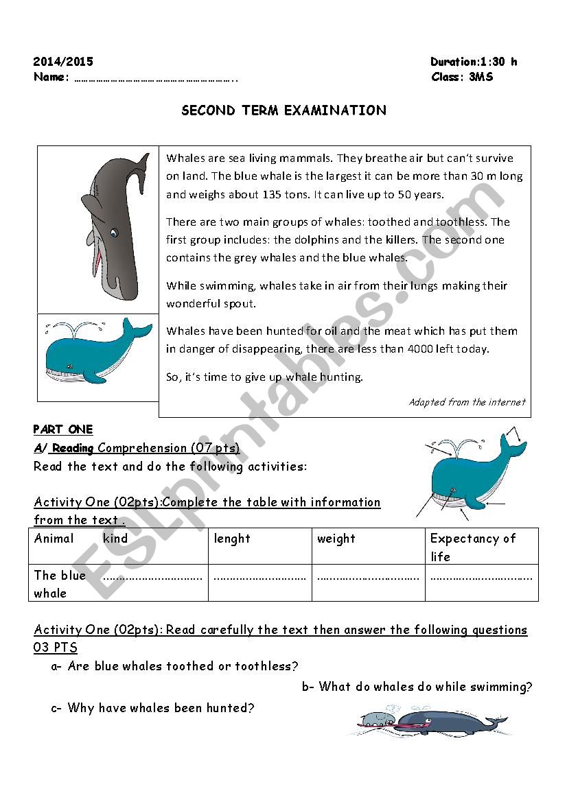 SECOND TERM EXAMINATION  worksheet