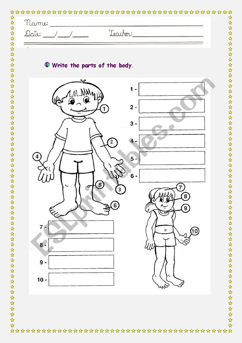 Parts of the body worksheet