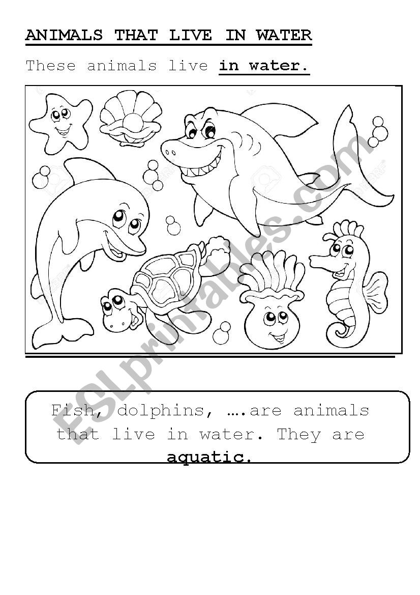 aquatic animals worksheet