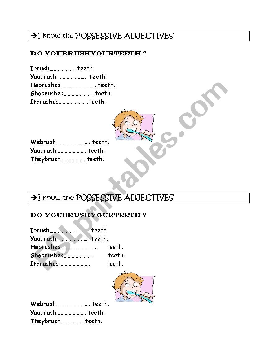 possessive adjectives worksheet