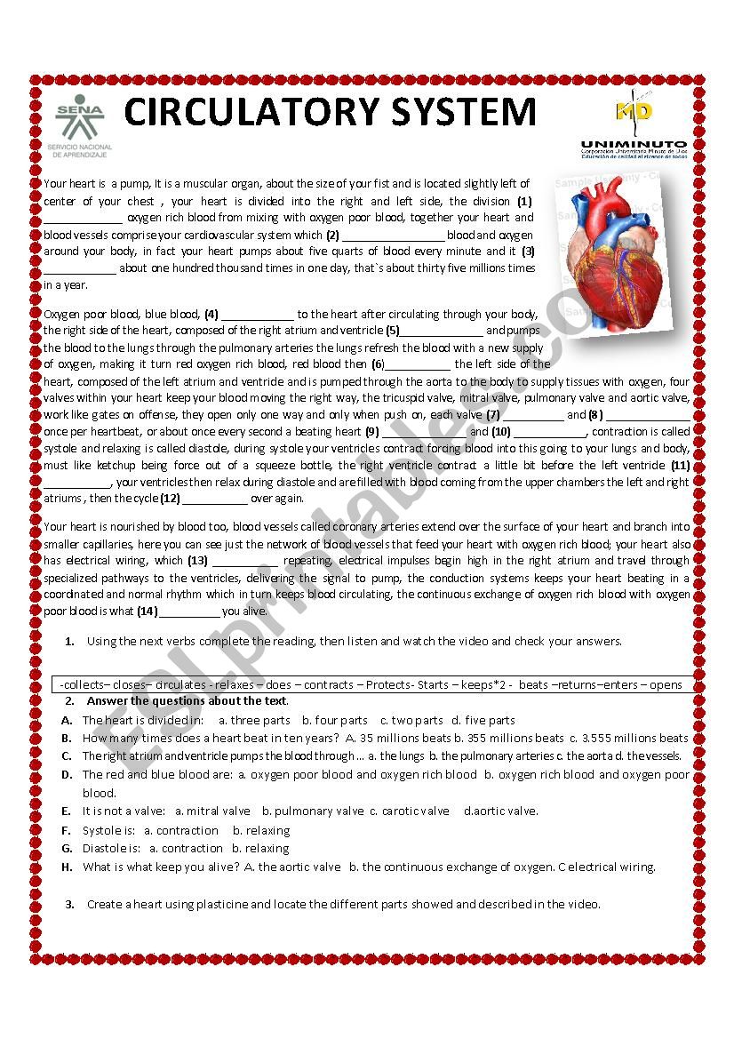 CIRCULATORY SYSTEM worksheet