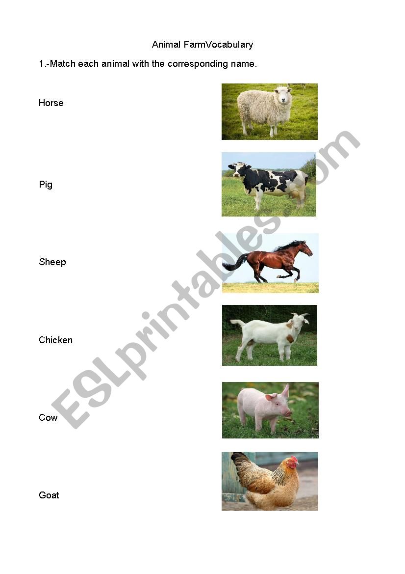 Animal farm vocabulary worksheet