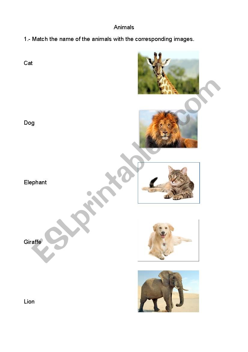 Wild animals worksheet