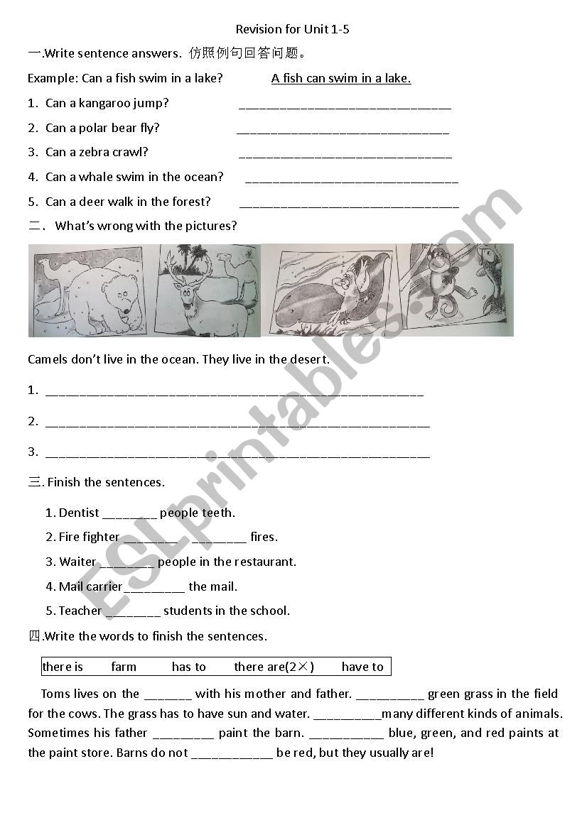 daily routines worksheet