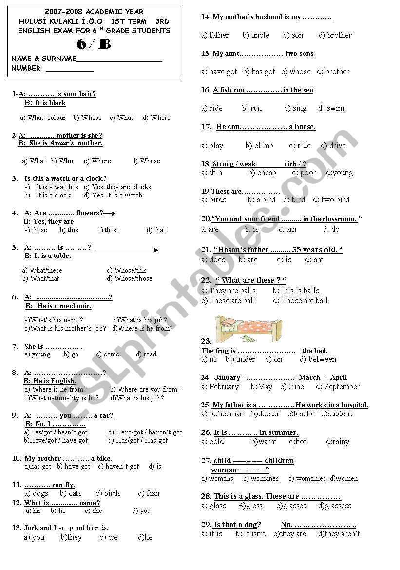 tests worksheet