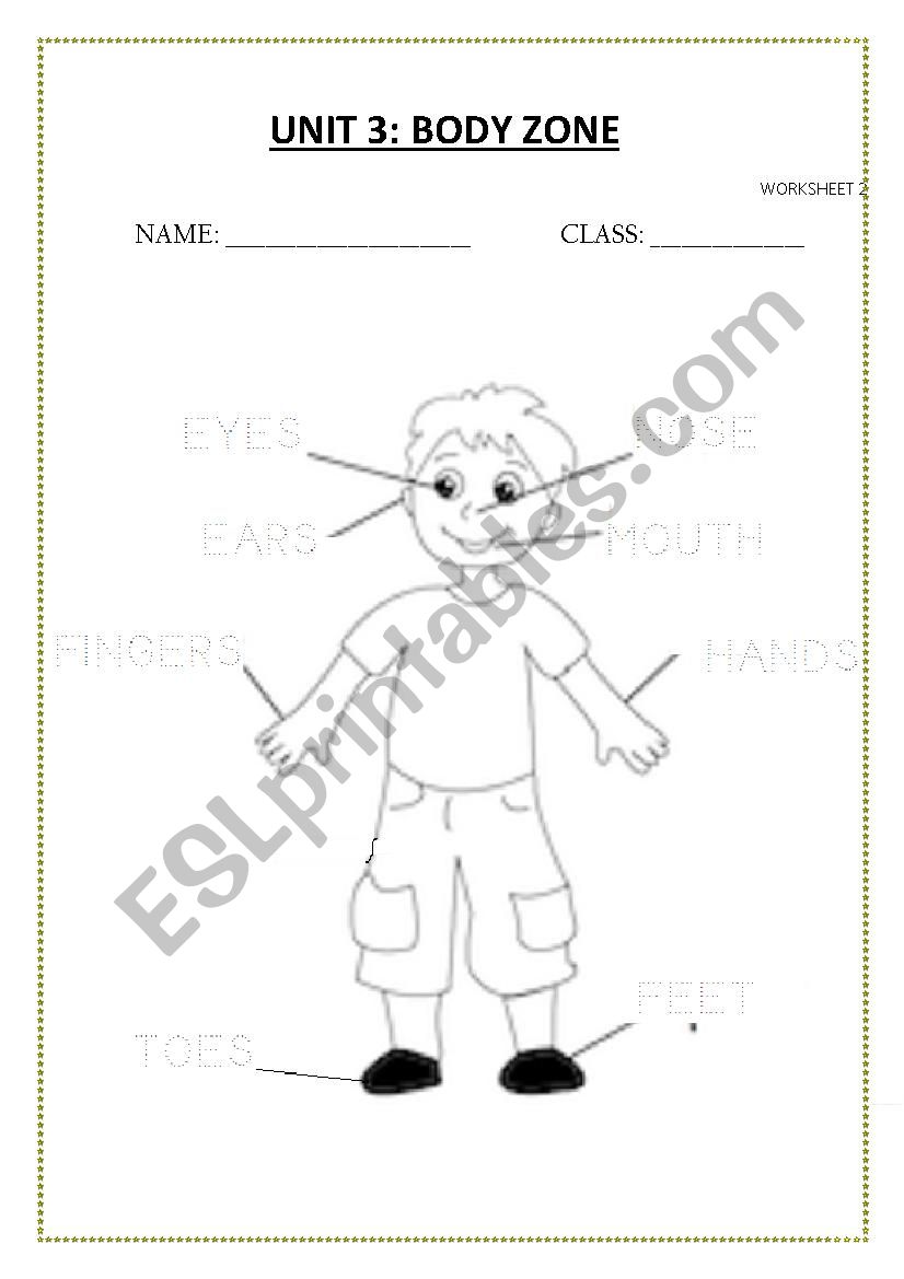 MY BODY worksheet
