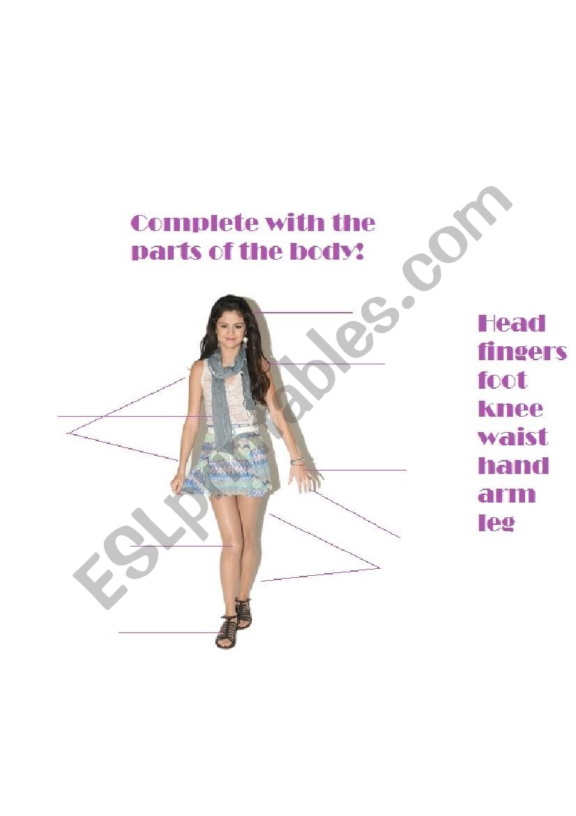 Parts of the body worksheet