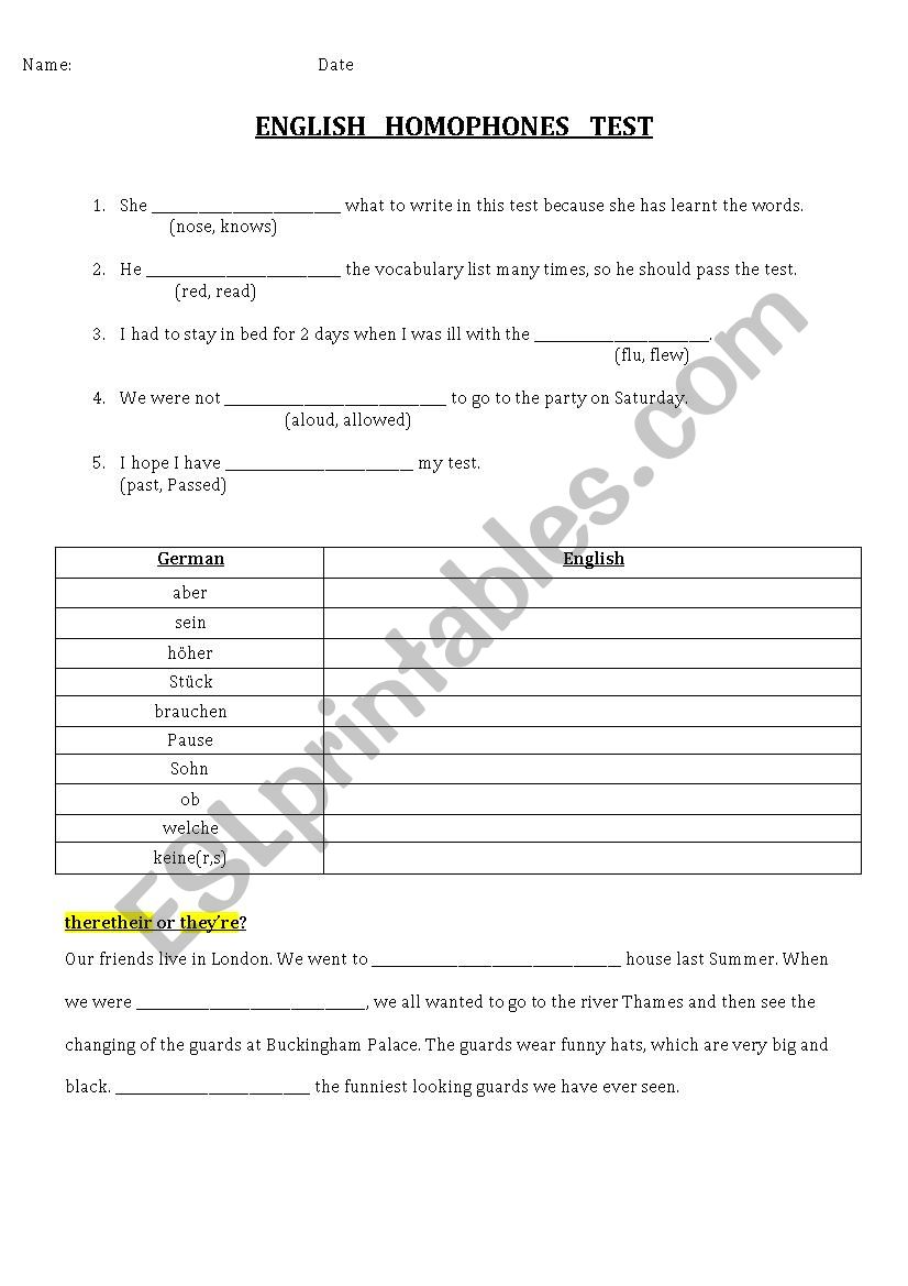 English Homophones Test worksheet