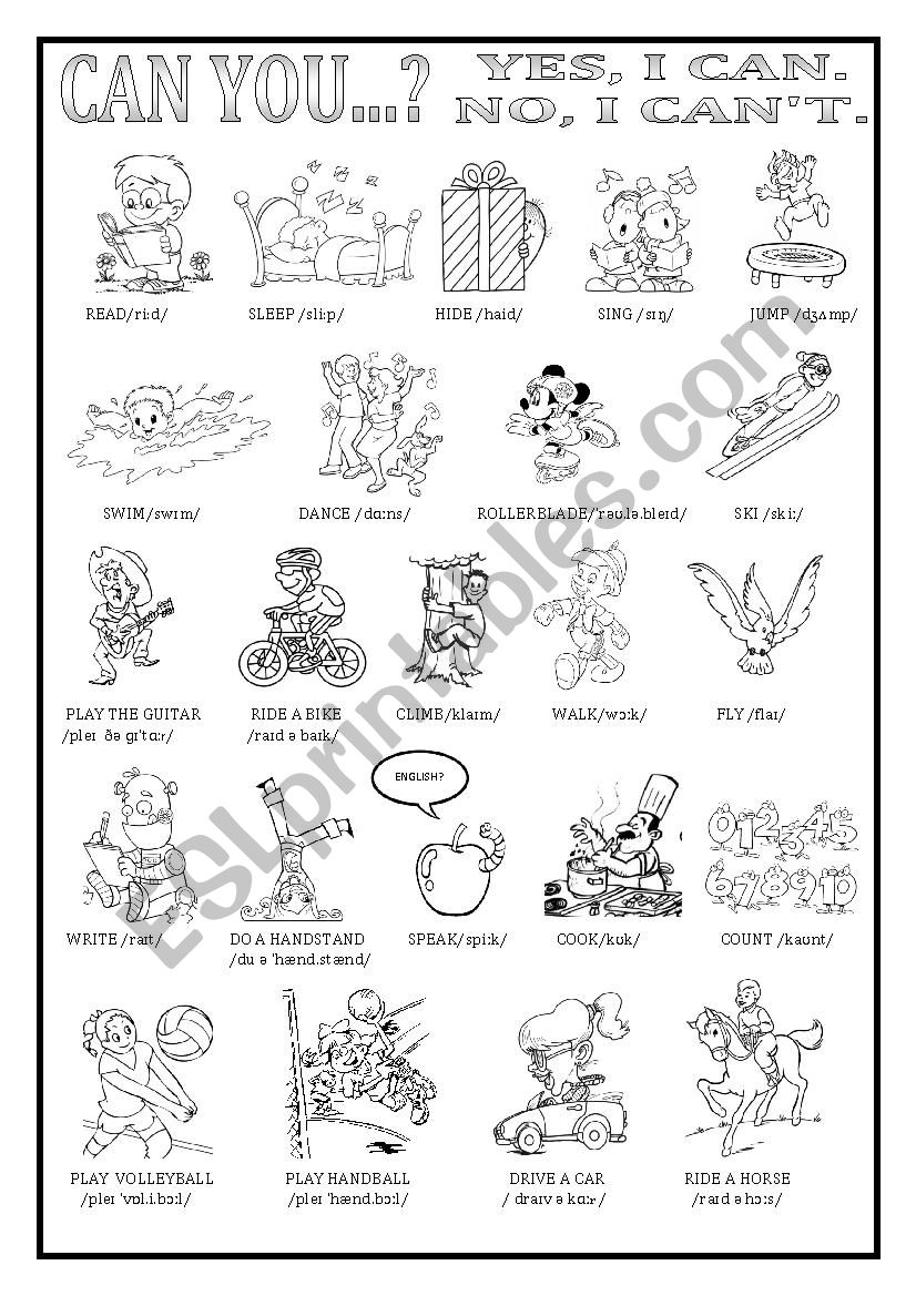can pictionary worksheet