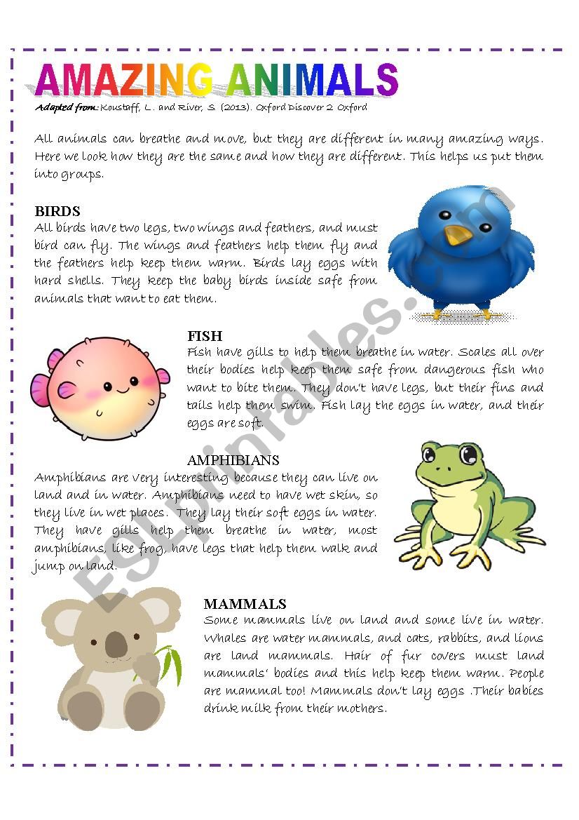 Amazing Animals  worksheet