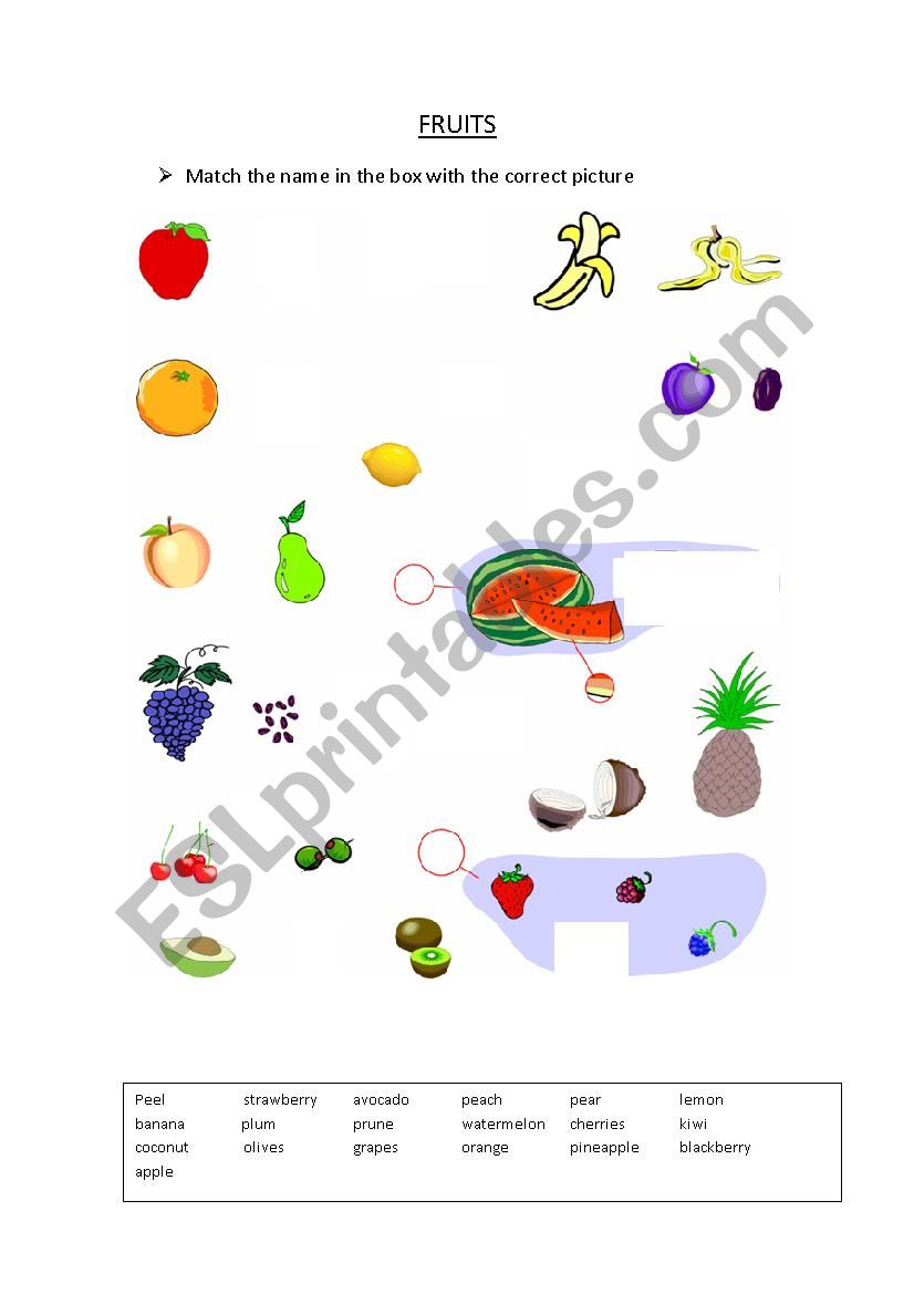 Fruits worksheet