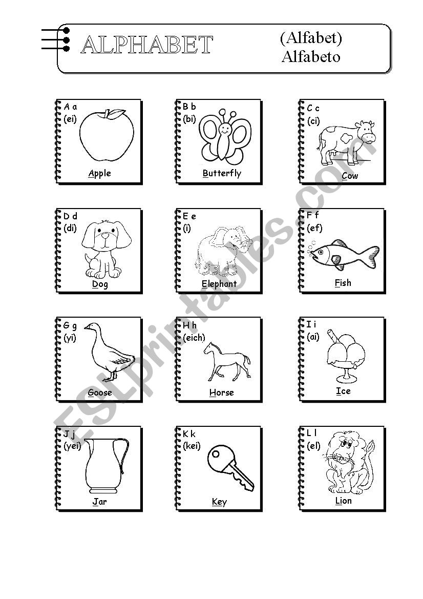 THE ALPHABET worksheet