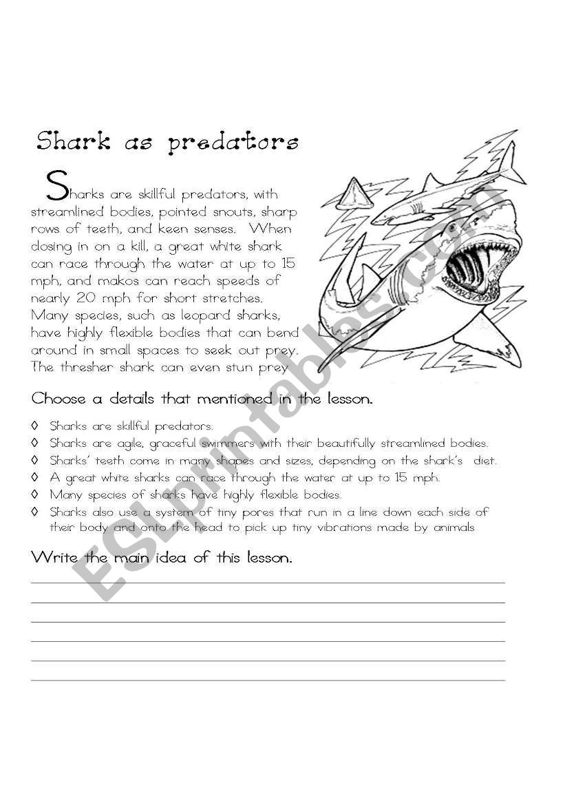 Sharks as predators worksheet