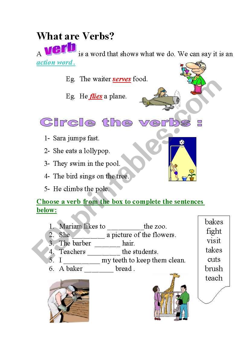 verbs worksheet