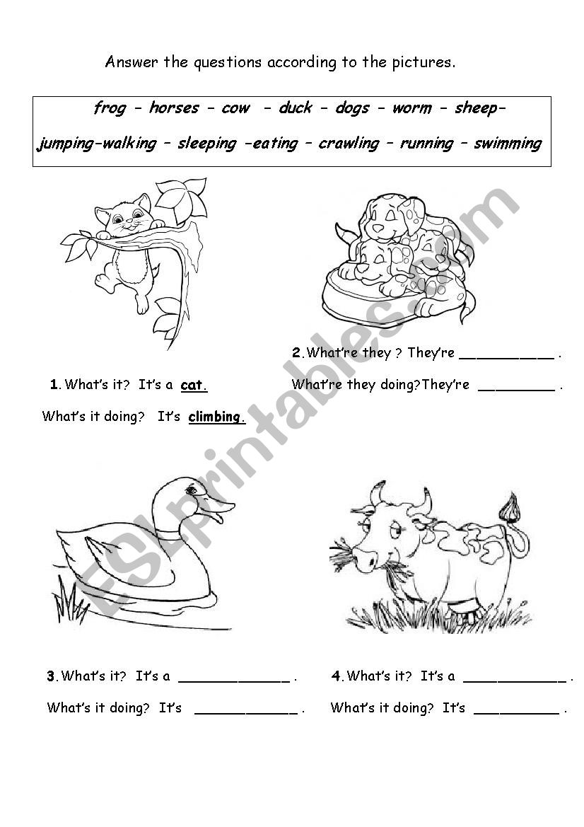 ANIMALS worksheet