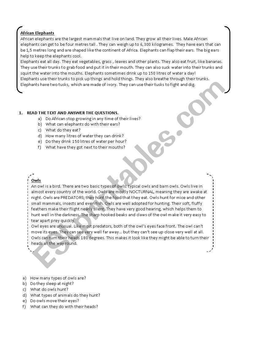 READING COMPREHENSION worksheet