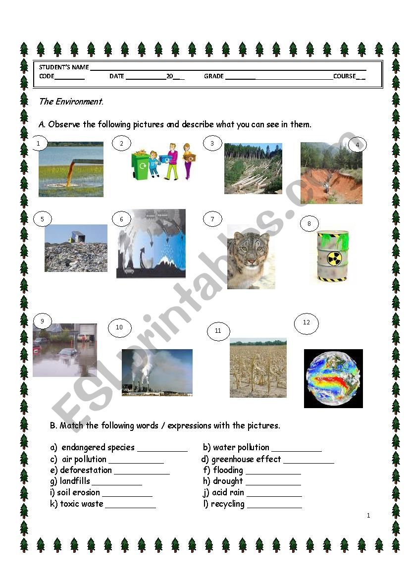 The Environment. worksheet