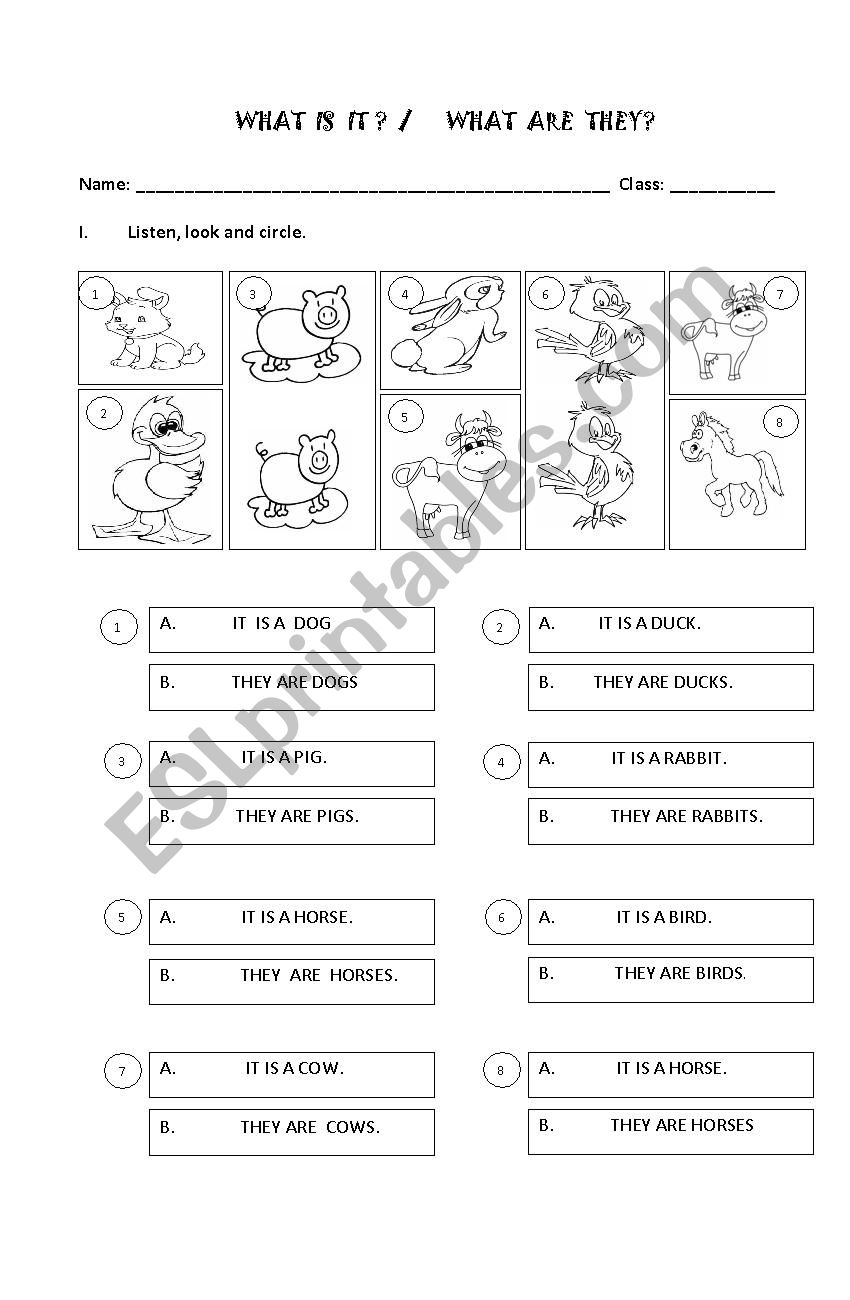 Singular and plural forms worksheet