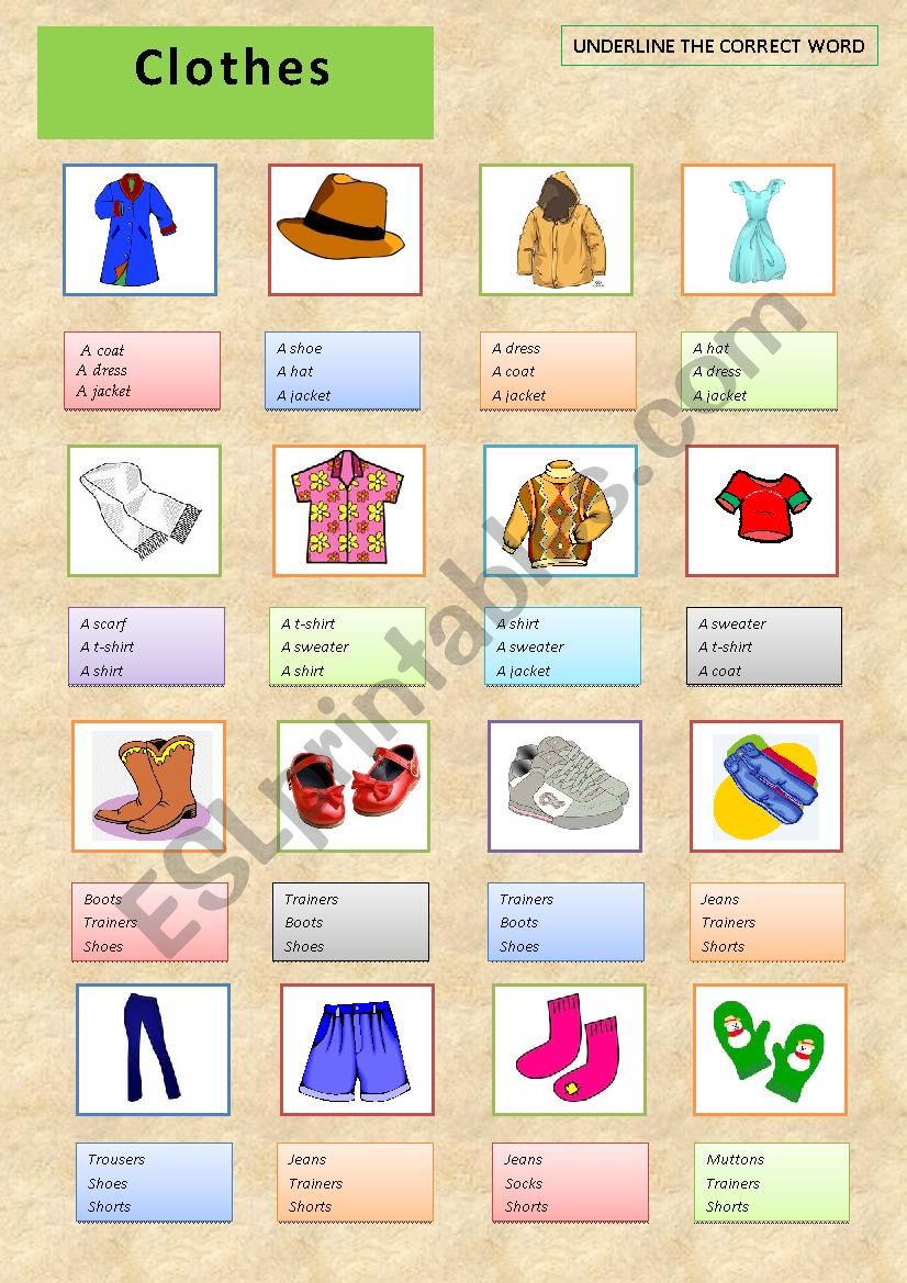 clothes worksheet