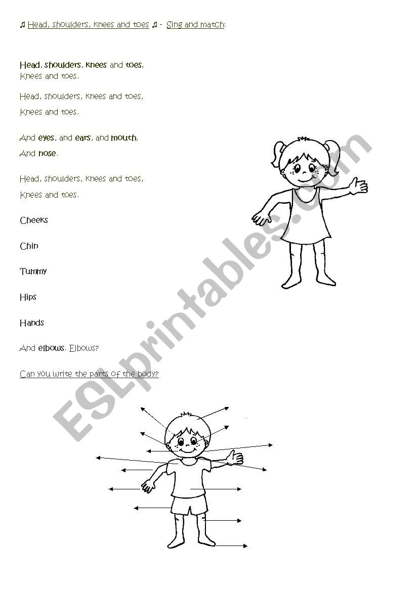 Head, Shoulders, Knees & Toes worksheet