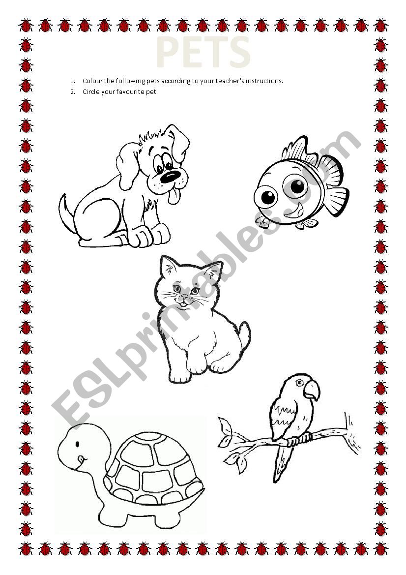 Pets worksheet