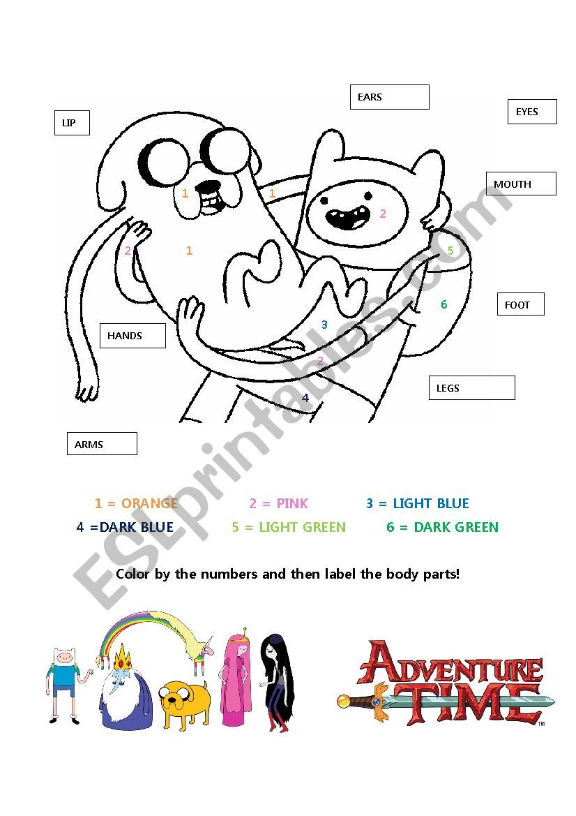 Adventure Time Human Body Worksheet