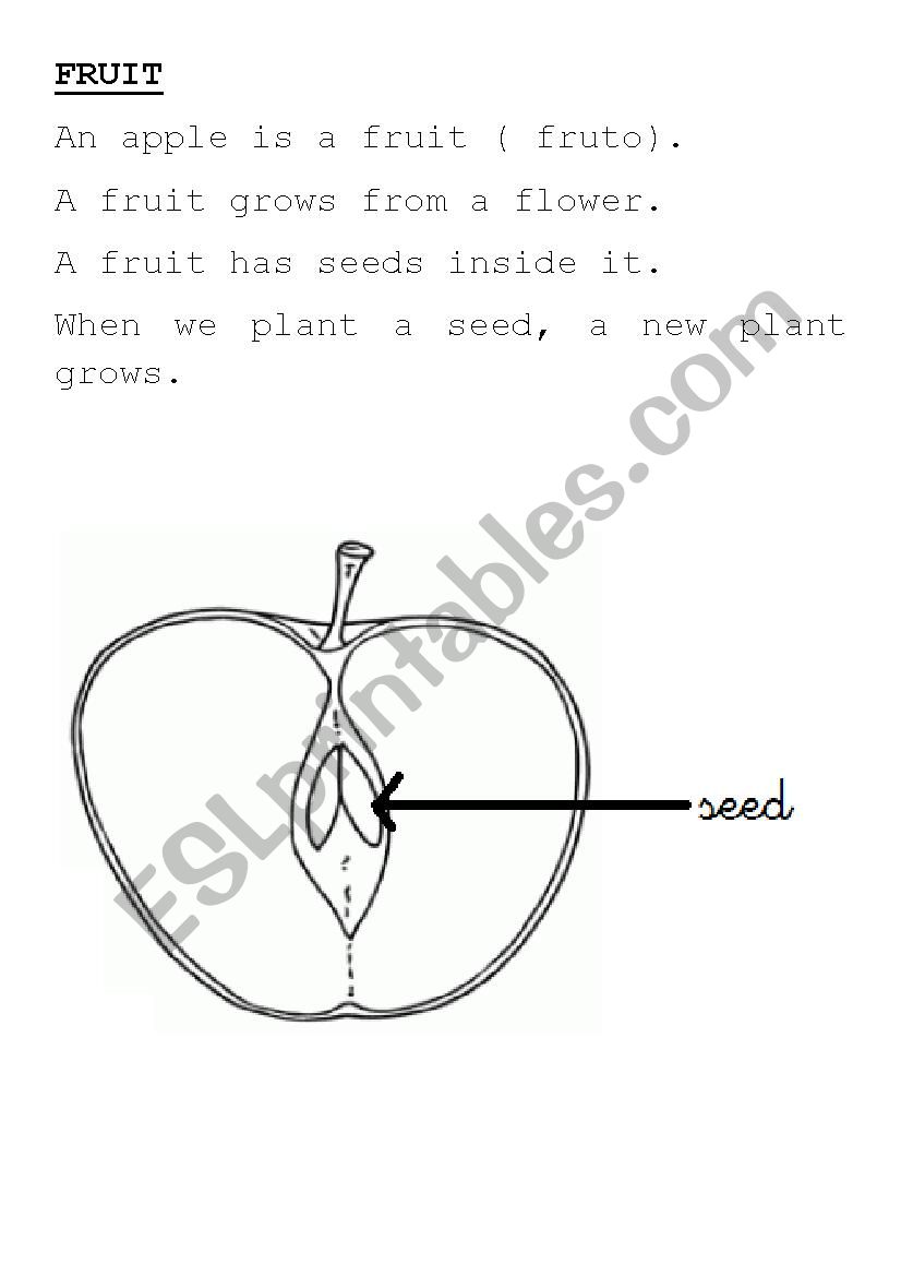FRUIT AND THE SEEDS worksheet