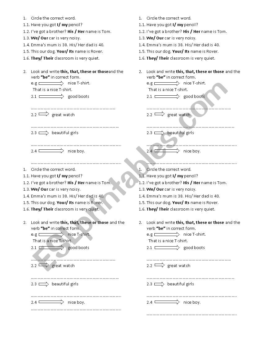 possessive adjectives and demonstratives