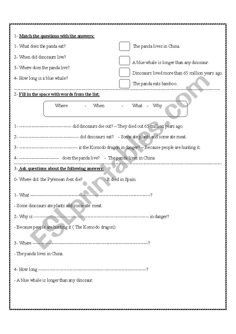 Wh questions worksheet