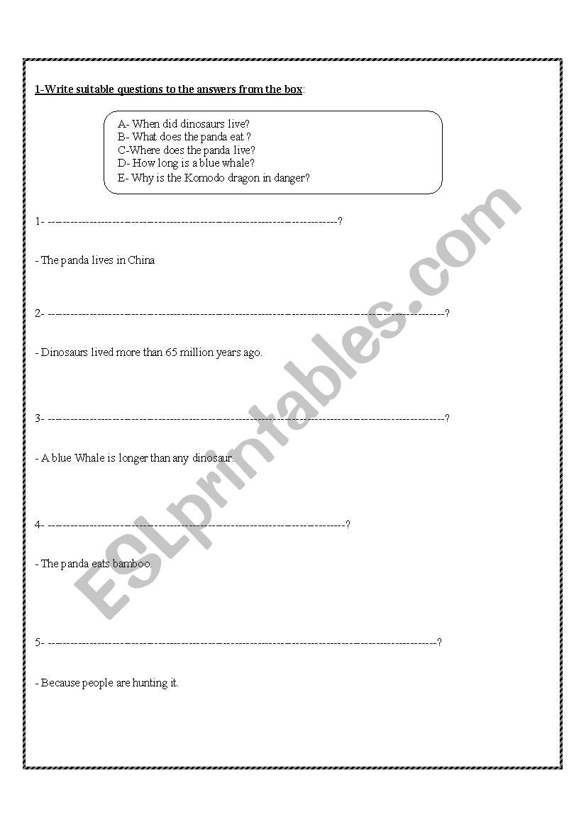 Wh questions worksheet