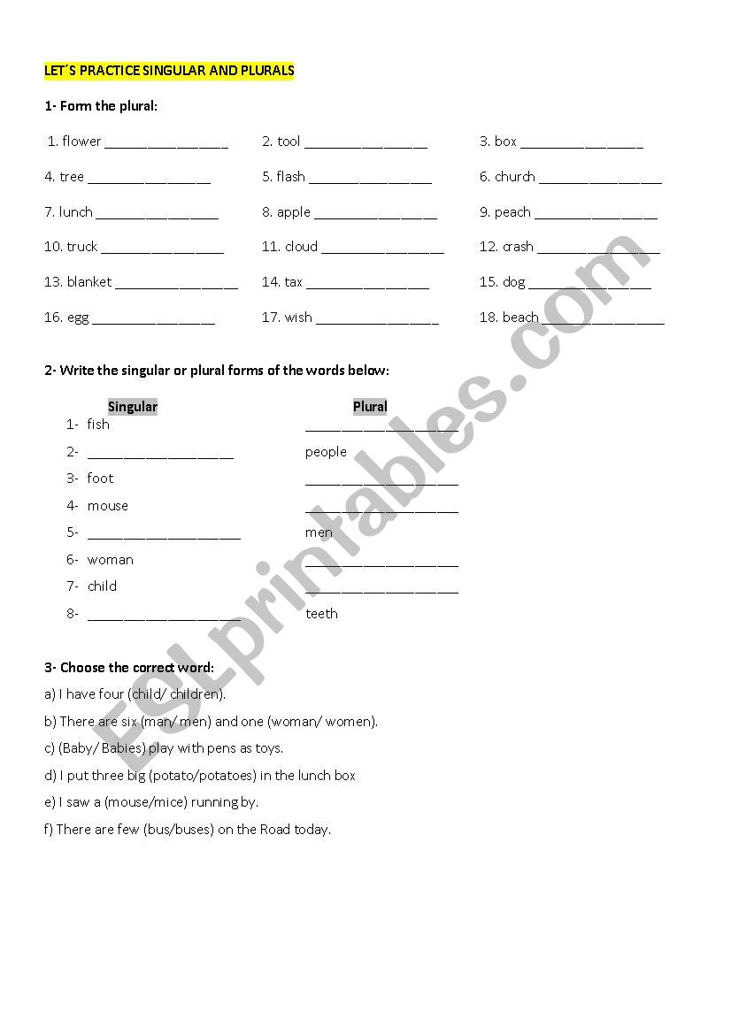 Plural and singular worksheet