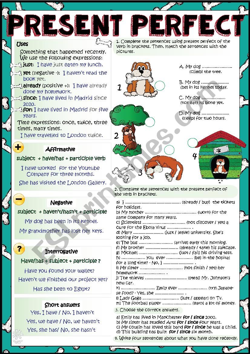 Present Perfect Simple worksheet