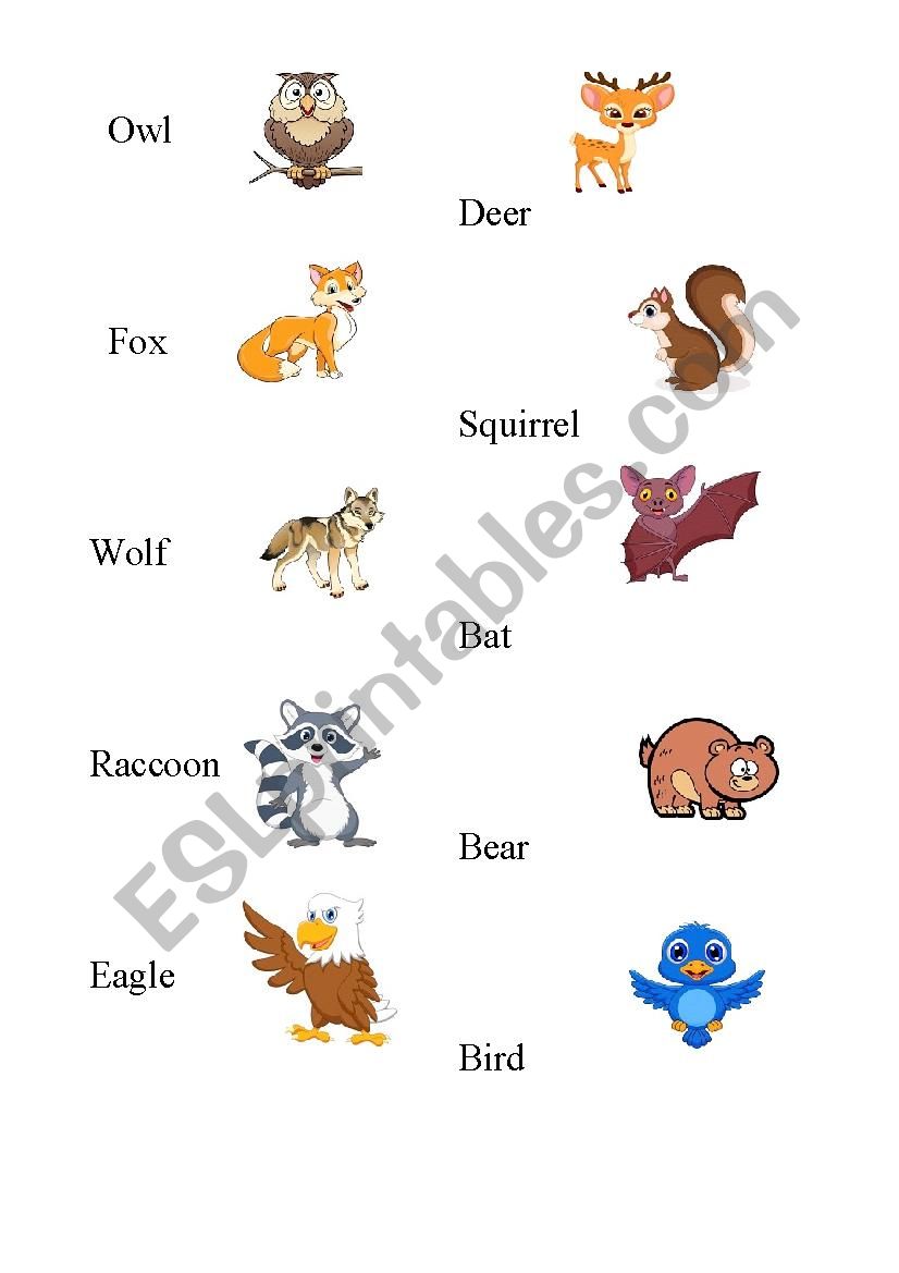 Forest Animals Vocabulary worksheet