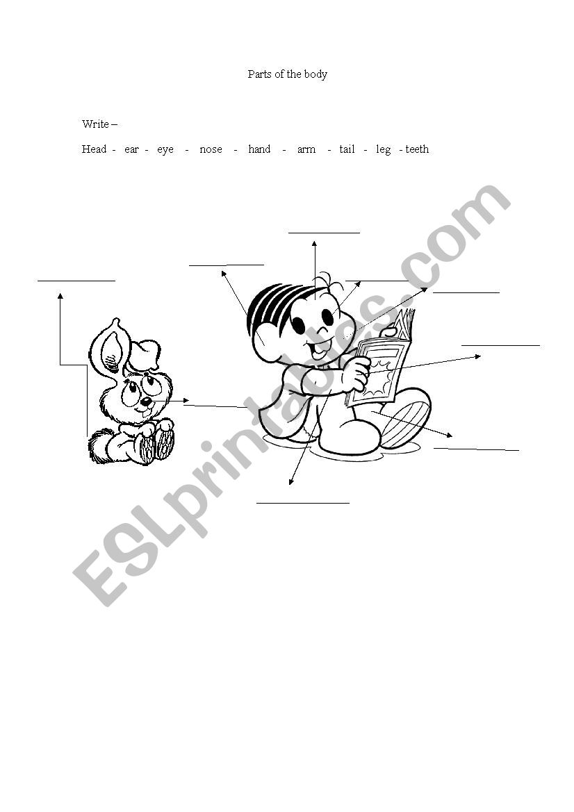 PARTS OF THE BODY  worksheet