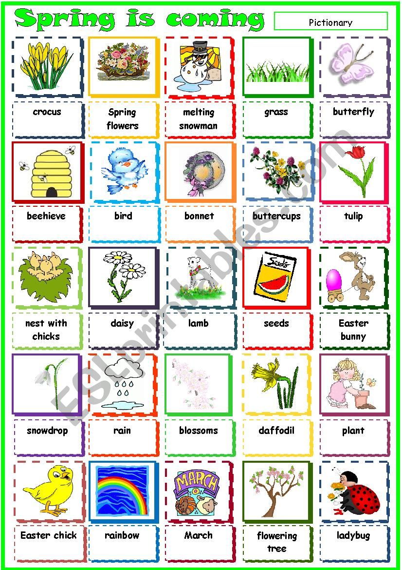 Spring is coming! worksheet