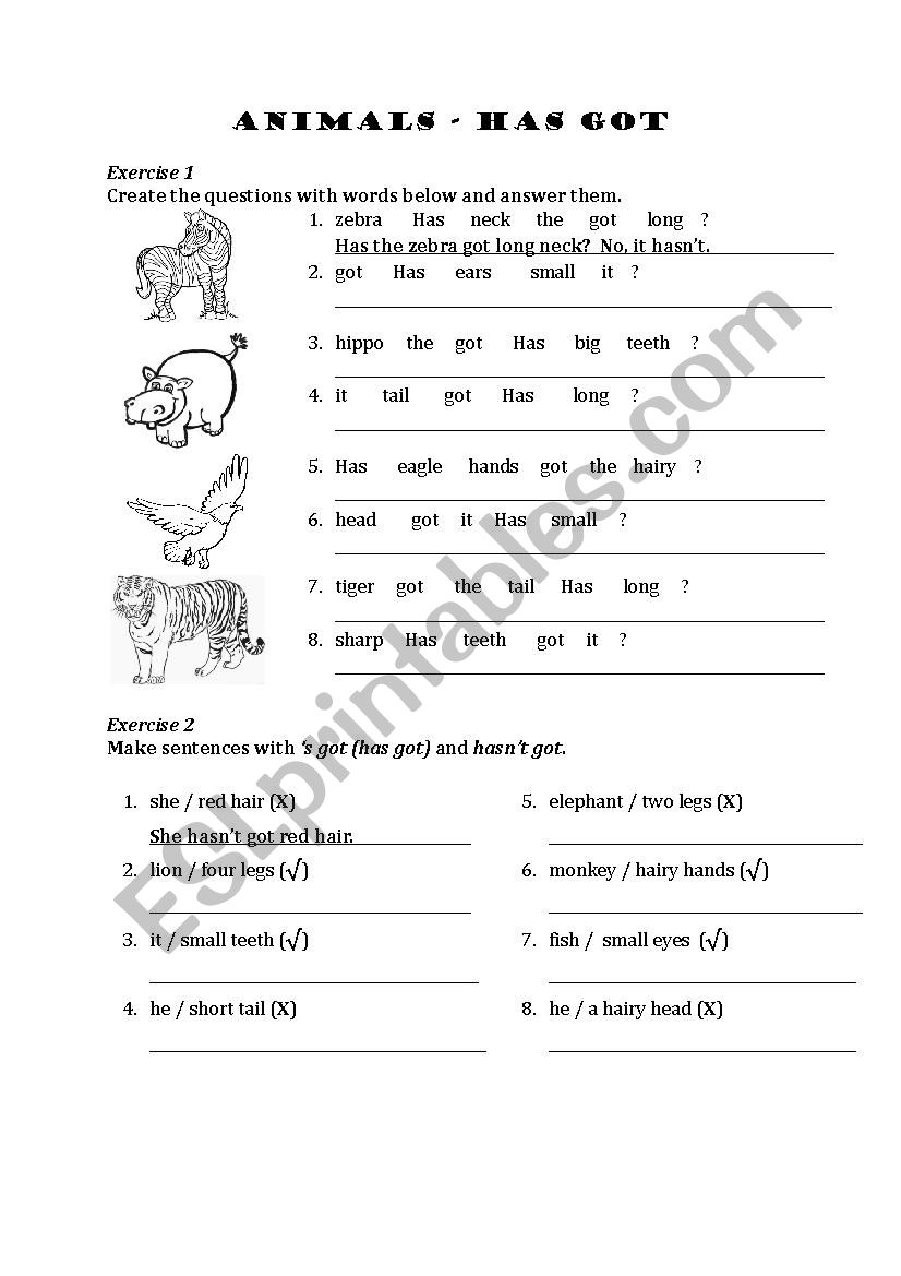 Animals & has got worksheet