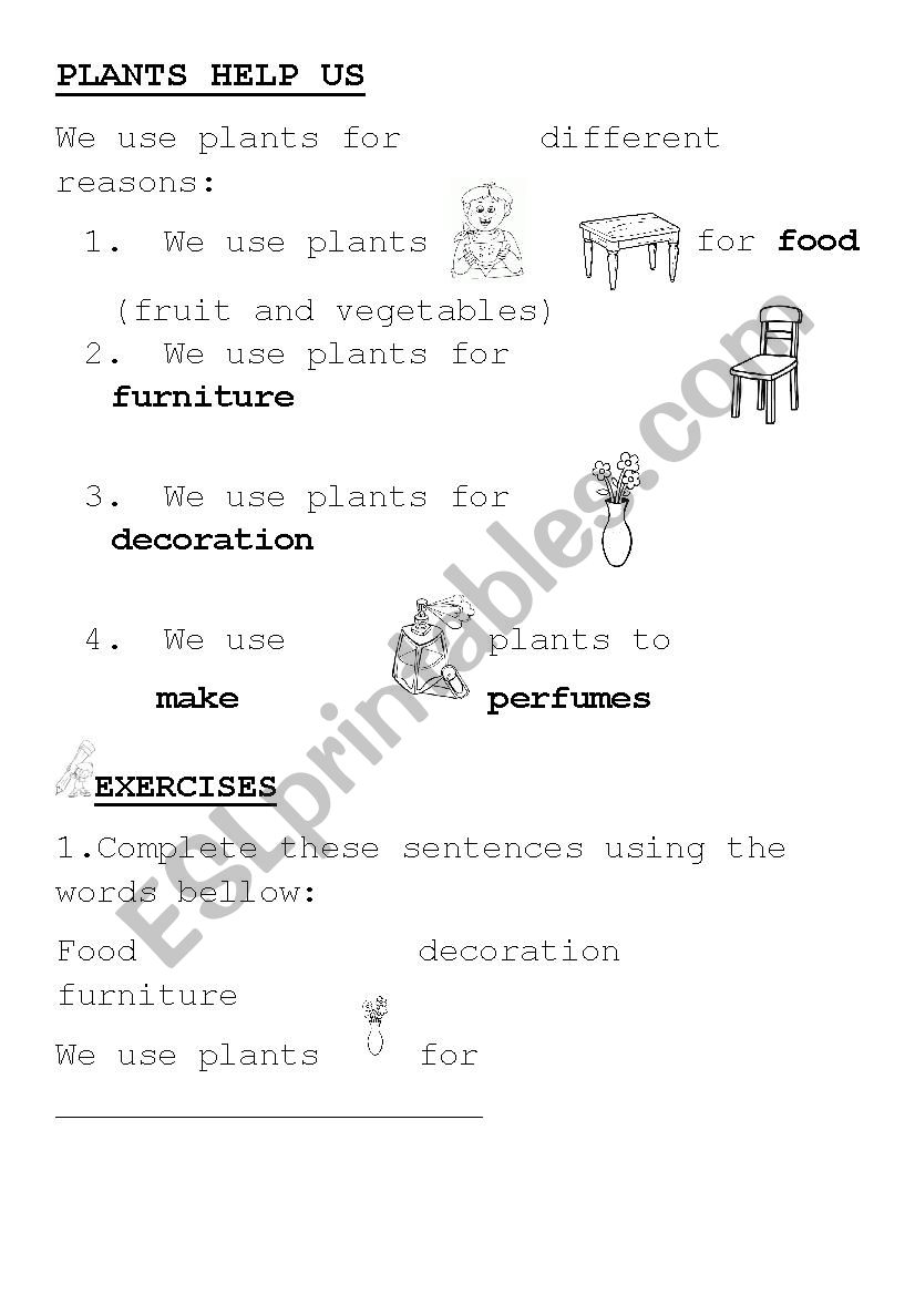 uses of plants worksheet