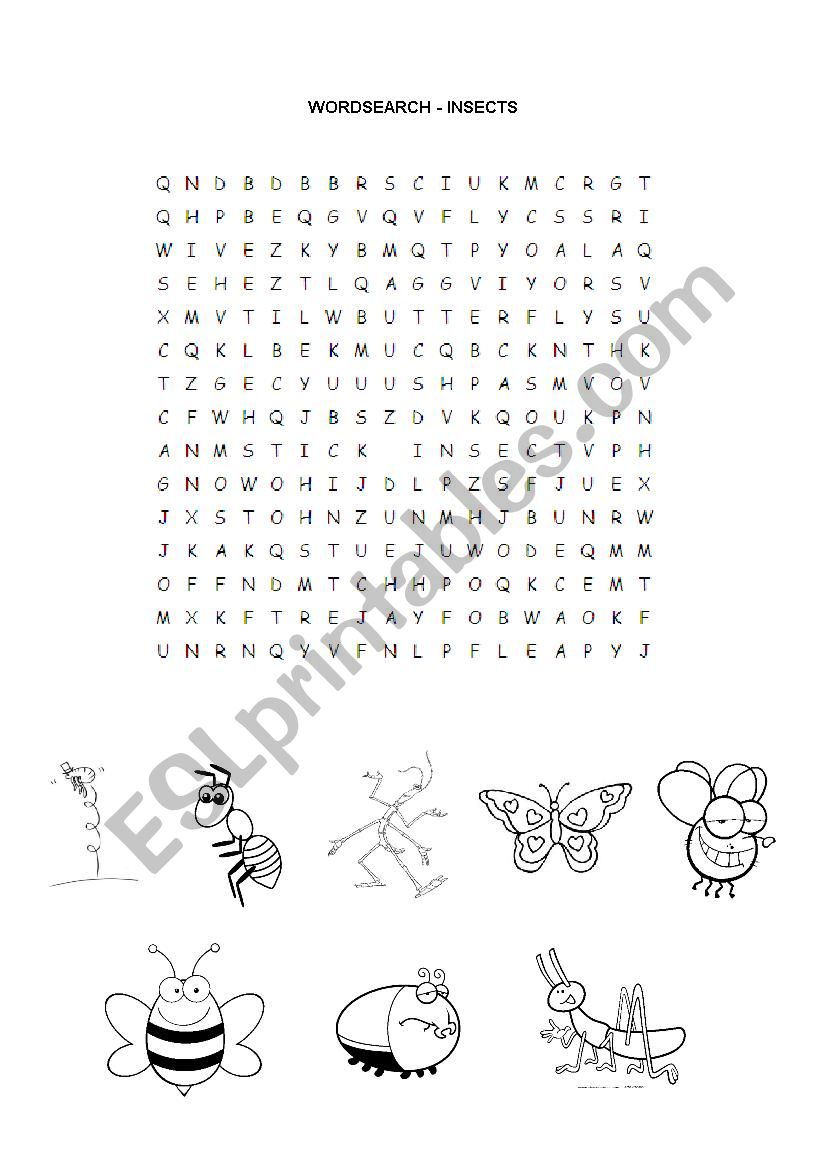 Insects worksheet