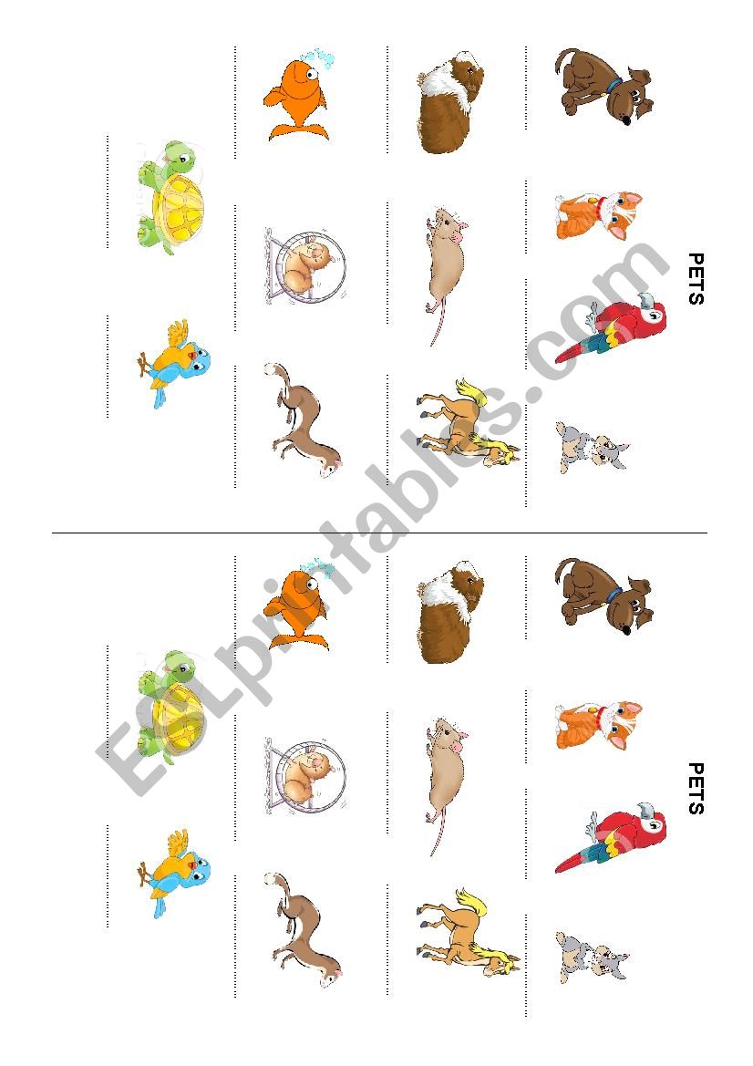 Pets worksheet